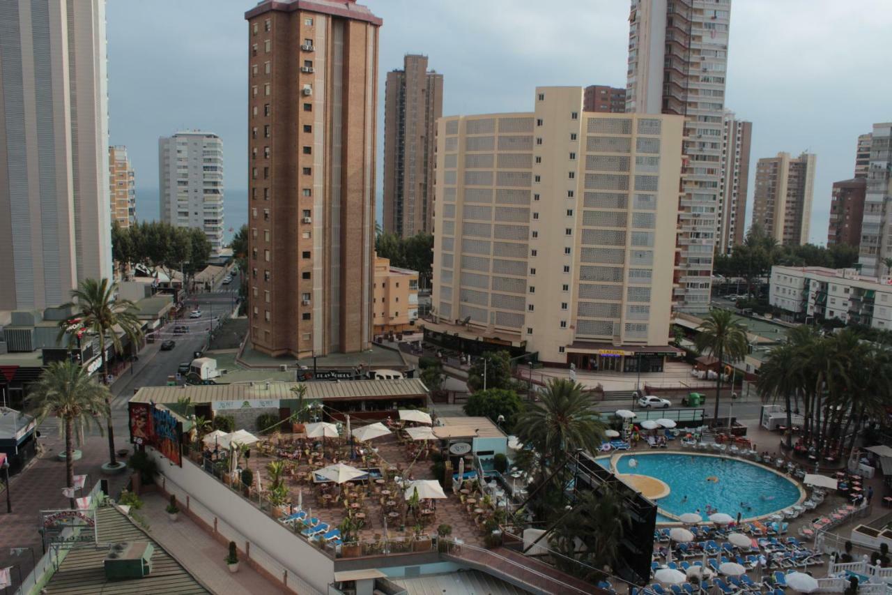 דירות בנידורם Provima Anis מראה חיצוני תמונה
